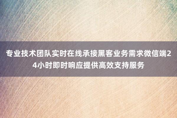 专业技术团队实时在线承接黑客业务需求微信端24小时即时响应提供高效支持服务