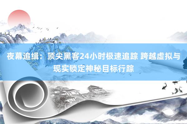 夜幕追缉：顶尖黑客24小时极速追踪 跨越虚拟与现实锁定神秘目标行踪