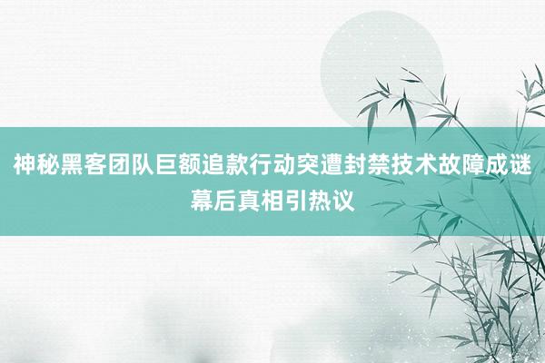 神秘黑客团队巨额追款行动突遭封禁技术故障成谜幕后真相引热议